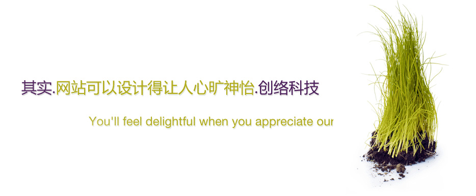 基礎型網(wǎng)站建設套餐